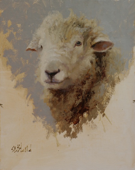Weatherlea Ram